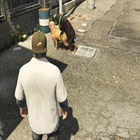 user404notfound63