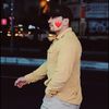 max_sir02