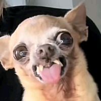 palomabarbosa84