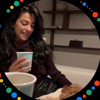 .saudipinterest