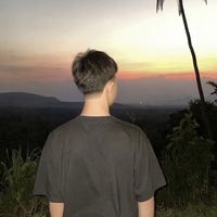 aelaintsimp