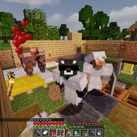 jeffpacheco_