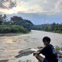 awanbonkz