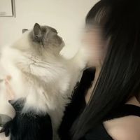 hukuen_28