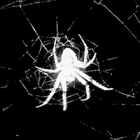 original sound - axiouz