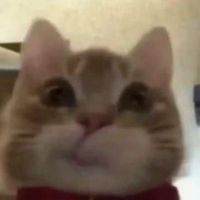 kokokath1
