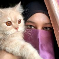 catsmom454