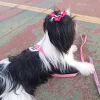 chrystal_04_