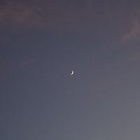 オリジナル楽曲 - 0yll8y