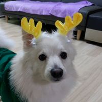 jenny._.fursuiter