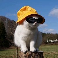 မူရင်းအသံ - JAM JING🌺