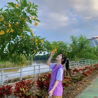 เพลงเมี่ยนเพราะๆ