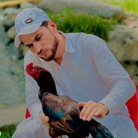 shahnawaz656545