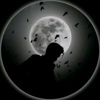 .barbosa786.08