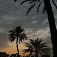 baluch_01
