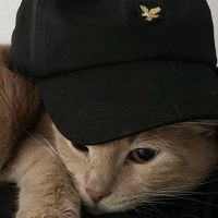 nhạc nền - ︎︎︎