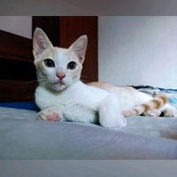 juliana_r111