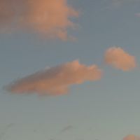 nem.nem50