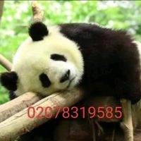 user3824920203380