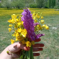 original sound - nesibe_511