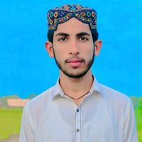 muhammad.saqlain.93