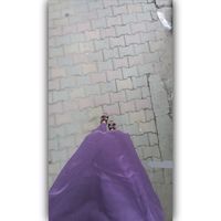 alinachy2415