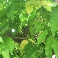 sub2_hero_hero_herooo