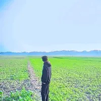 original sound - maybeetanvir