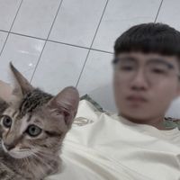 sheng._o6