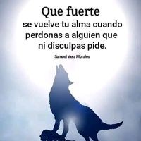 felipeguzman840