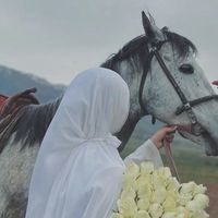 syeda_albaloshi
