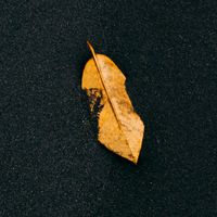 suara asli - NUANSA MINANG