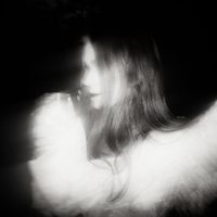 spreeadwings