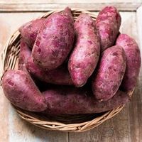 เสียงต้นฉบับ - manutd.aep