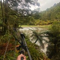 waikatofishing
