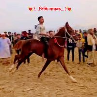 md.marufkhan49
