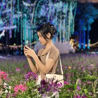 noung.khin407