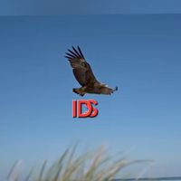 suara asli - iday.s🦅