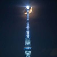 オリジナル楽曲 - なつ/music