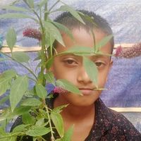 আসল শব্দ