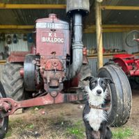 just_another_tractor
