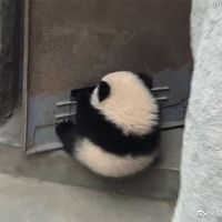 meimeiilin