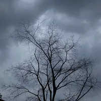 original sound - storyfeeling1_