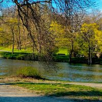 الصوت الأصلي