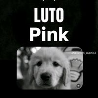 davizinho_bia