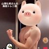 piiiiii226