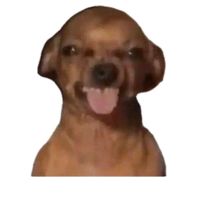 nhạc nền - Little Little🐺