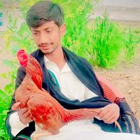 waqaskalyar_07