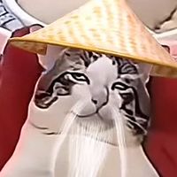 nhạc nền - TreTrauDepChai😏