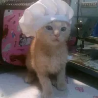 original sound - michaelangelooo_